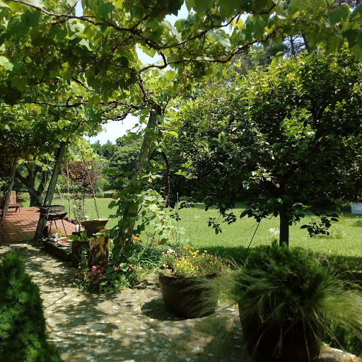 Reboques Silva Pereira - Towing service in Portugal