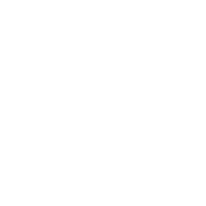 Recreational Aviation Foundation