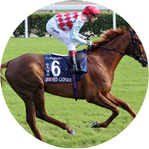 Red Cadeaux