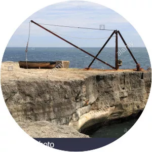 Red Crane, Portland - 