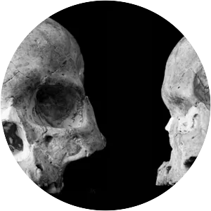 Red Deer Cave people - 