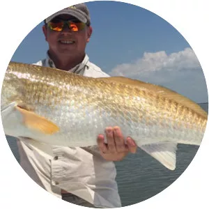 Red drum