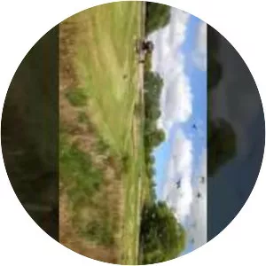 Red Kite Feeding Station