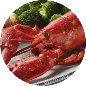 Red Lobster - Restaurant company