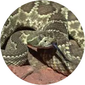 Red Rock Canyon National Conservation Area - 