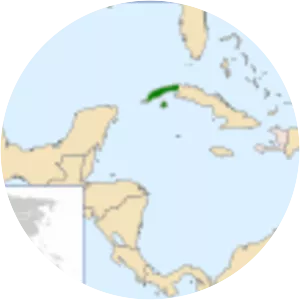 Red-shouldered blackbird