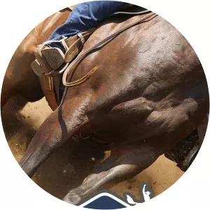 Redding RodeoSince 2021