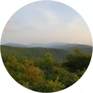 Reddish Knob