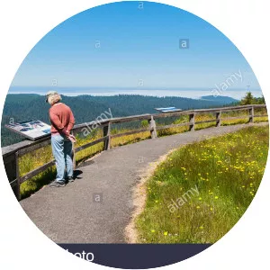 Redwood Creek Overlook - 