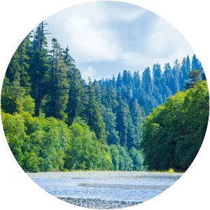 Redwood Creek - River in California