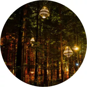 Redwoods – Whakarewarewa Forest