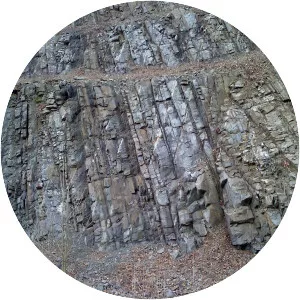 Reedsville Formation - Sedimentary rock