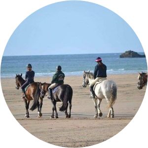 Reen Manor Riding Stables