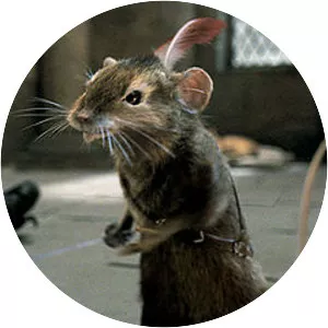 Reepicheep - Fictional character