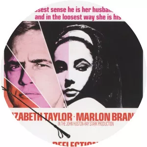 Reflections in a Golden Eye