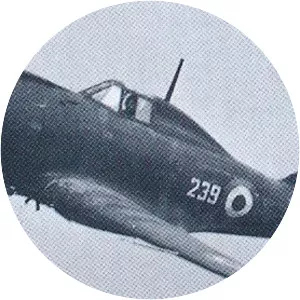 Reggiane Re. 2002 - Aircraft model