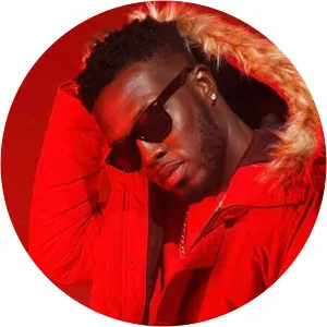 Reggie Zippy - Musical artist