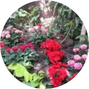 Regina Floral Conservatory