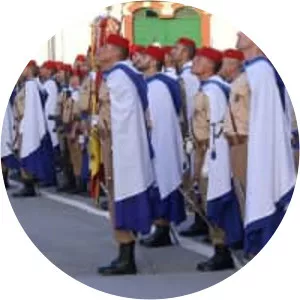 Regulares - Infantry