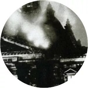 Reichstag fire - 