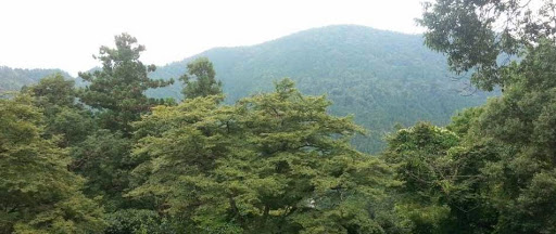 ReikiMadrid - Reiki therapist in Madrid, Spain