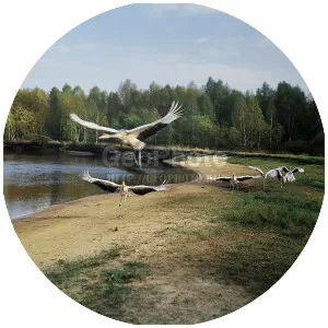 Reka Pra - River in Russia