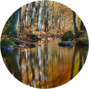 Rekowa - River in Poland