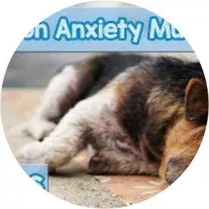 Relaxing Music for Dogs - Musical artist