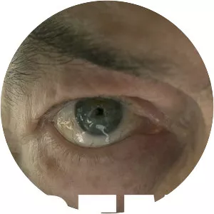 REM: Rem Koolhaas Documentary