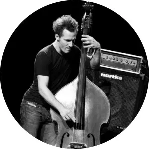 Rémi Vignolo Musician