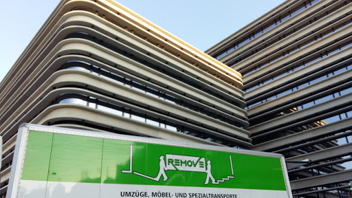 Remove DT GmbH - Transportation service in Dallikon, Switzerland