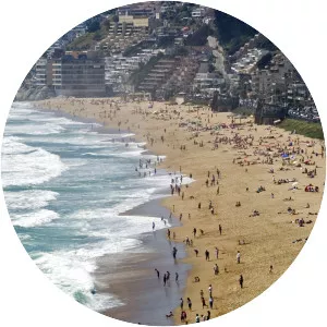 Reñaca beach - 
