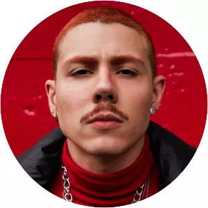 Renan Cavolik - Musical artist