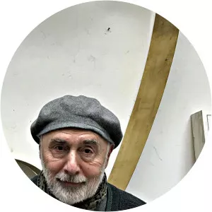 Renato Ranaldi - Visual artist