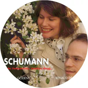 Renaud Déjardin - Musical artist