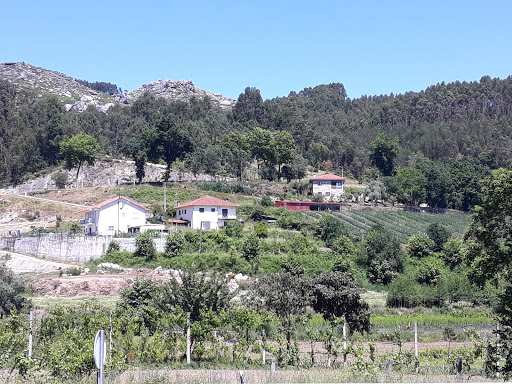 Rendutir-transportes Lda