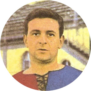 Renzo Cappellaro