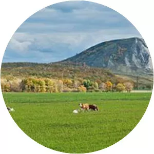 Republic of Bashkortostan