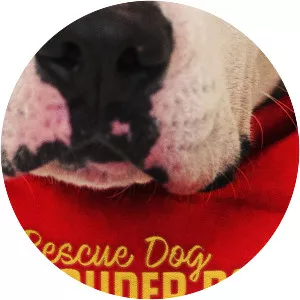 Rescate a la fama - TV program