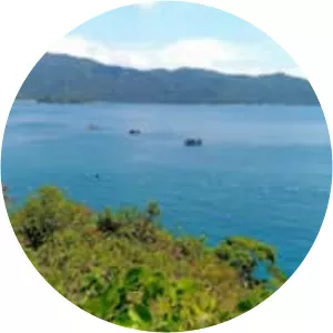 Reserva Ecologica Estadual Da Juatinga - 