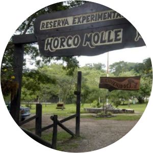 Reserva Experimental Horco Molle Yerba Buena - 
