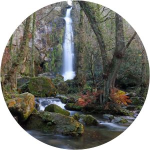 reserva natural parcial de peloño cascada firbia-oneta