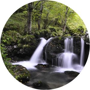 reserva natural parcial de peloño foz de la escalada