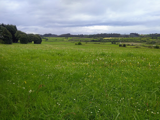 Residencia Canina Los Vitorones - Dog day care center in Spain