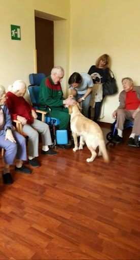 Residenza Valpolcevera