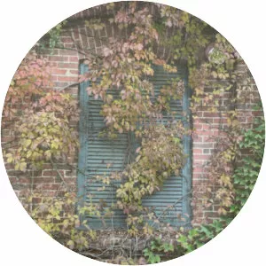 Rest You Sleeping Giant