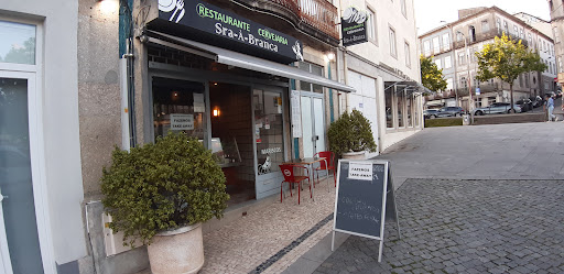 Restaurante Cervejaria Senhora-a-Branca - Prato do dia - Restaurant