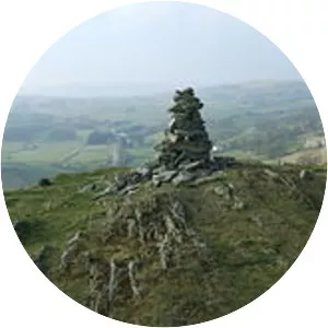 Reston Scar