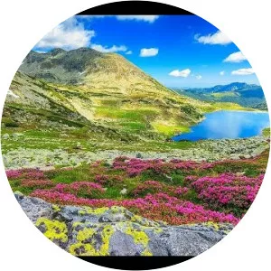 Retezat National Park