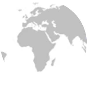 Reticulated swellshark - Sharks